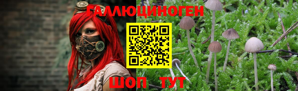 Чапаевск  Псилоцибиновые грибы GOLDEN TEACHER  Галлюциногенные грибы мухоморы  Вход с VPN 